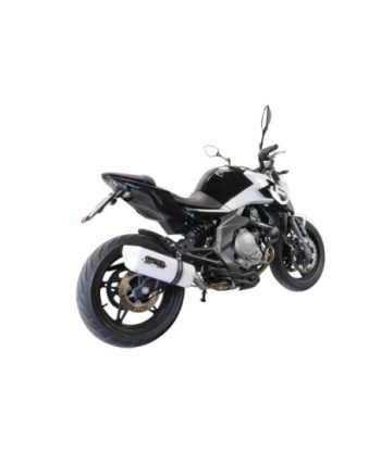 Escape GPR Cf Moto 650 Mt 2019/2020 e4 - Albus Evo4