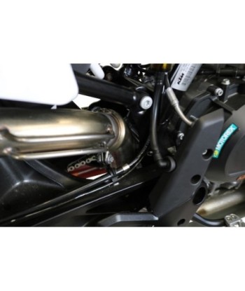 Escape GPR Cf Moto 800 Mt Sport 2022/2024 e5 - Decatalizzatore