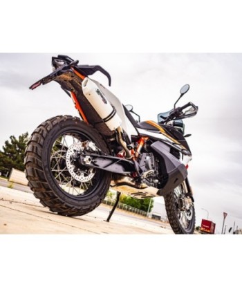 Escape GPR Husqvarna Norden 901 2022/2024 e5 - Albus Evo4