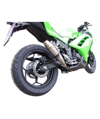 Escape GPR Kawasaki Ninja 300 R 2012/2017 e3 - Deeptone Inox