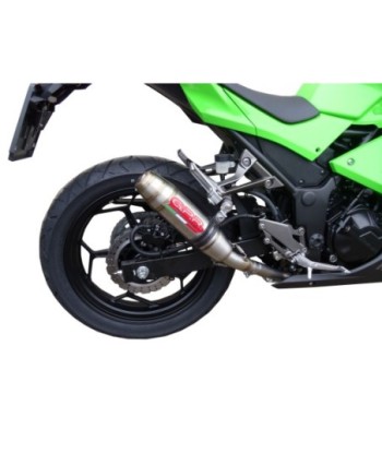 Escape GPR Kawasaki Ninja 300 R 2012/2017 e3 - Deeptone Inox