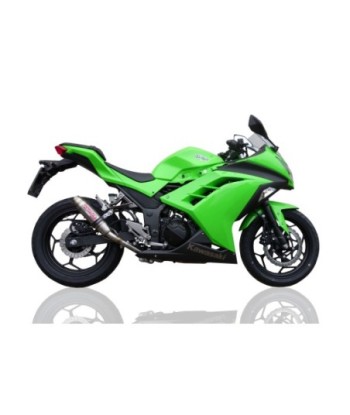 Escape GPR Kawasaki Ninja 300 R 2012/2017 e3 - Deeptone Inox