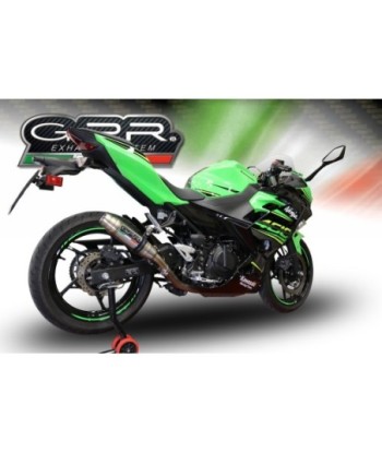 Escape GPR Kawasaki Ninja 400 2023/2025 e5 - Deeptone Inox