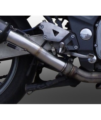Escape GPR Kawasaki Zzr 600 2002/2006 - Trioval