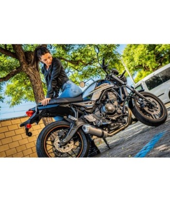 Escape GPR Kawasaki Z 650 RS - ZR 650 RS Ann. 2021/2023 e5 - Satinox