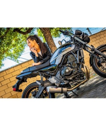 Escape GPR Kawasaki Z 650 RS - ZR 650 RS Ann. 2021/2023 e5 - Satinox