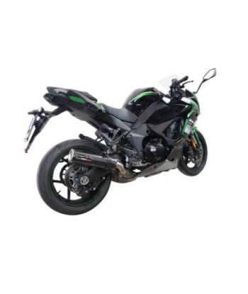 Escape GPR Kawasaki Ninja 1000 Sx 2020 e4 - M3 Poppy