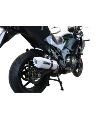 Escape GPR Kawasaki Versys 1000 i.e. 2021/2024 e5 - Albus Evo4