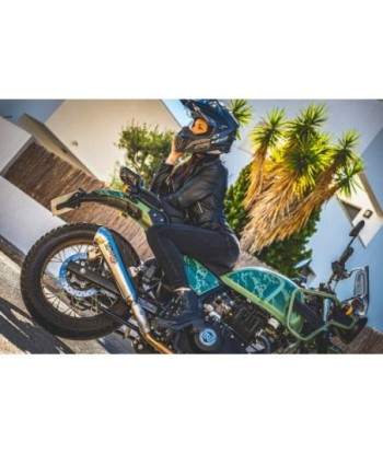 Escape GPR Royal Enfield Himalayan 410 2017/2020 e4 D.36 - Powercone Evo