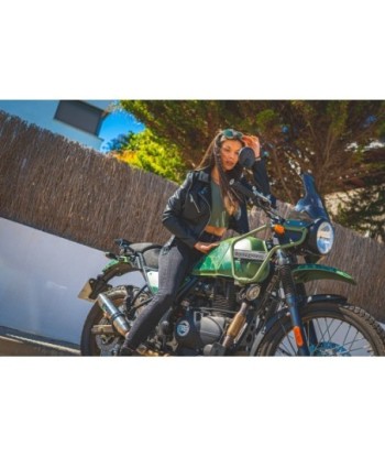 Escape GPR Royal Enfield Himalayan 410 2017/2020 e4 D.36 - Deeptone Inox