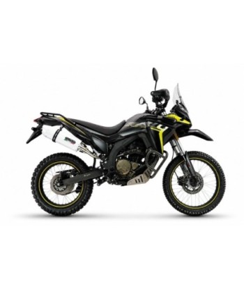 Escape GPR Voge 300Rally 2025/2026 e5 plus - Albus Evo4