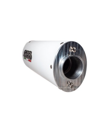 Escape GPR Exhaust System Bmw F 700 Gs 2011/15 Escape homologado y tubo de conexión Albus Ceramic