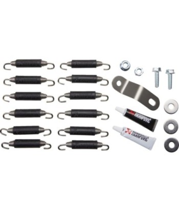 EXHAUST RAC SS/CF S1000RR