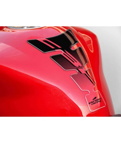 Protector Depósito Spirit Honda CBF600S 2004