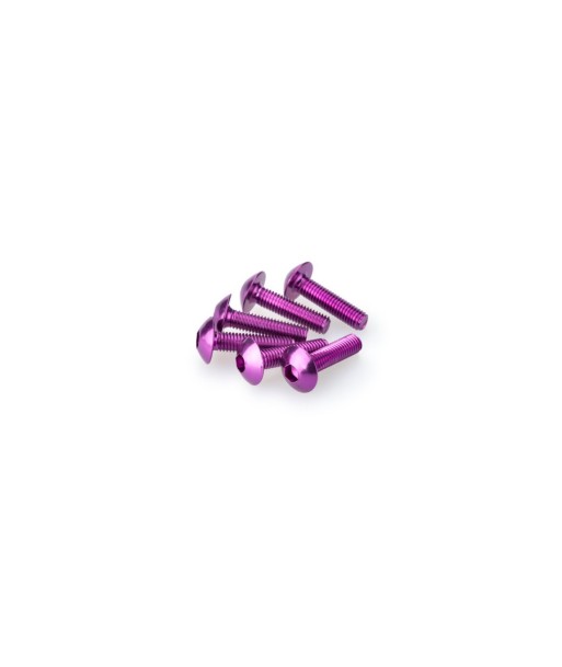 BLISTER 6 TORNILLOS ALLEN M6X45MM. C/LILA