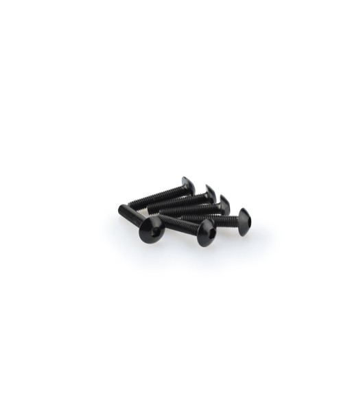 BLISTER 6 TORNILLOS ALLEN M6X45MM. C/NEGRO