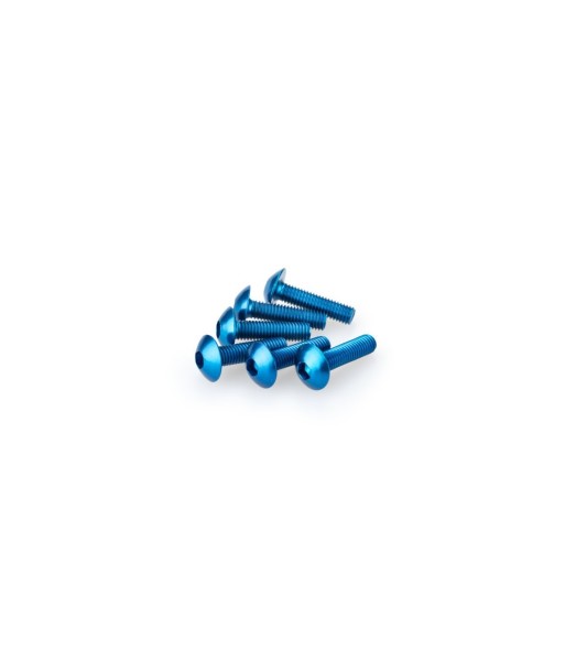BLISTER 6 TORNILLOS ALLEN M6X50MM. C/AZUL