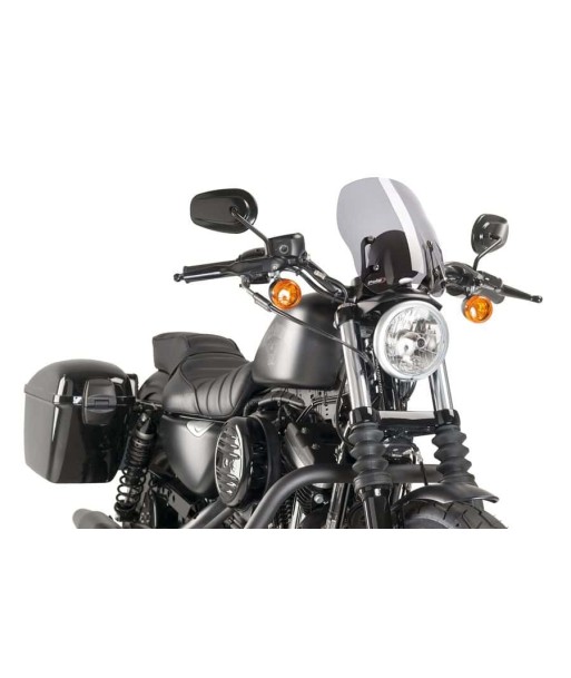 CBRIS. NEW GENERATION HARLEY SPORTSTER C/AHUMADO
