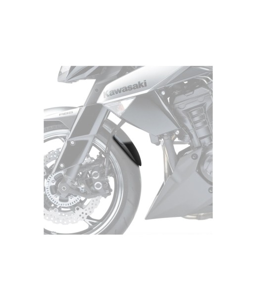 FALDON GUARDABARROS DELANTERO Z1000 10'-13'