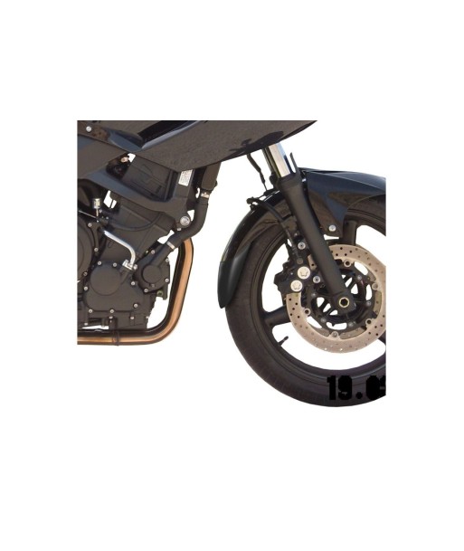 FALDON GUARDABARROS DELANTERO TDM900 02-04'