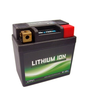 Bateria Skyrich Litio LFP01
