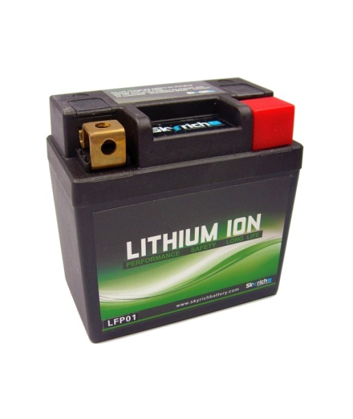 Bateria Skyrich Litio LFP01