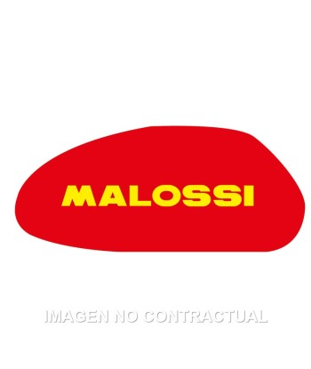 Filtro Aire Malossi Majesty 250, Leonardo 250