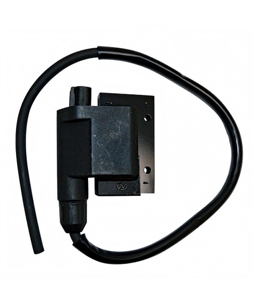 Bobina de alta tensión Kymco/Peugeot/Piaggio/Sym Con cable y conector 2 mini pin