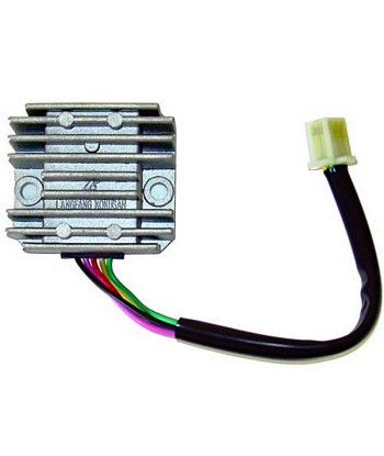 Regulador 12V/15A - Monofase - CC - 5 Cables