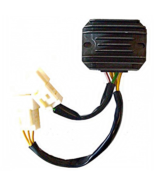 Regulador Trifase 12V/20A - CC - 5 Cables