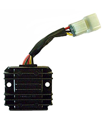 Regulador 12V/10A - Monofase - CC - 5 Cables - Con Conector
