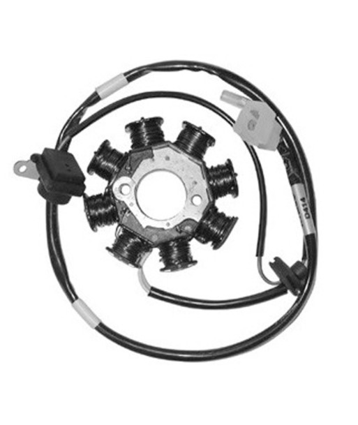 Stator 12 polos trifase Kymco Agility Plus 125/200