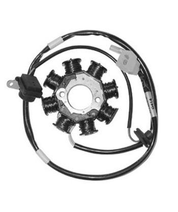 Stator 12 polos trifase Kymco Agility Plus 125/200