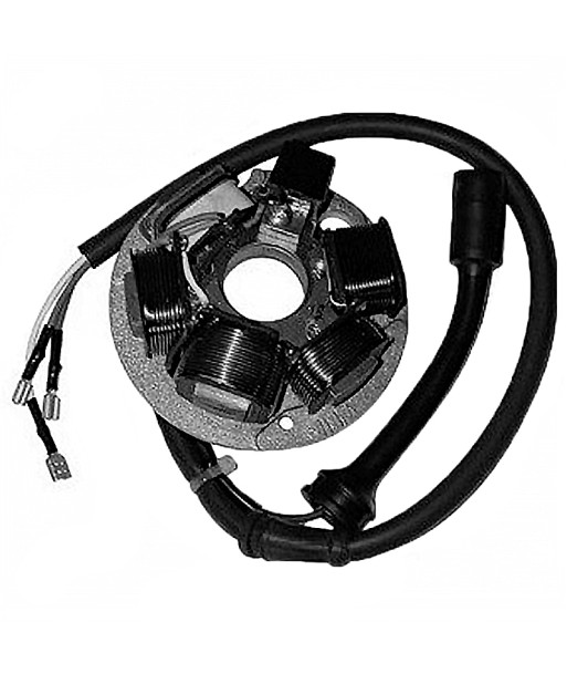 Stator SGR 6 Polos Vespa PK
