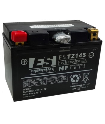 Batería Energysafe ESTZ14-S Precargada