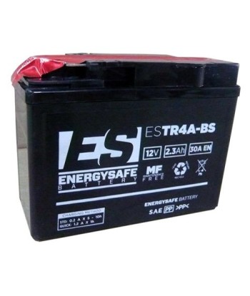 Batería Energysafe ESTR4A-BS Sin Mantenimiento