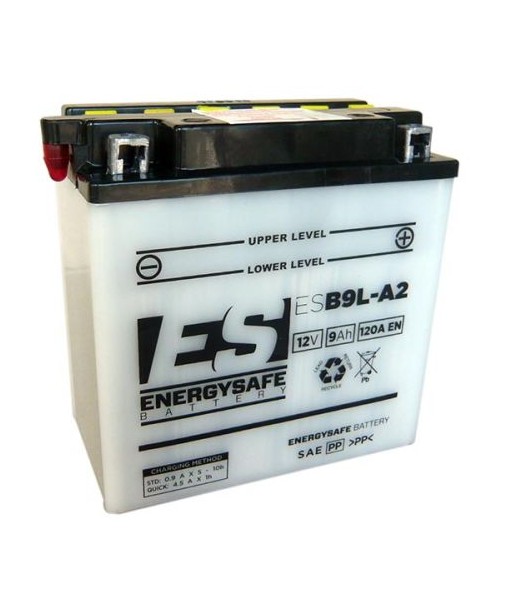 Batería Energysafe ES9L-A2 Convencional