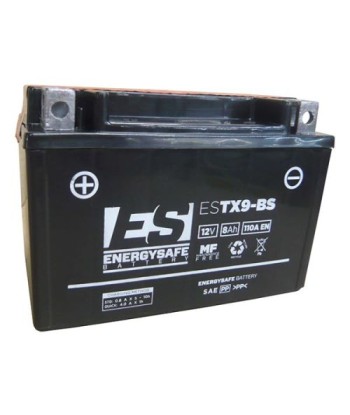 Batería Energysafe ESTX9-BS Sin Mantenimiento