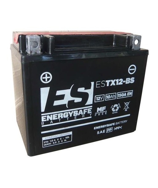 Batería Energysafe ESTX12-BS Sin Mantenimiento