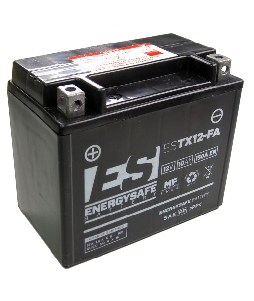Batería Energysafe ESTX12-B4 Precargada