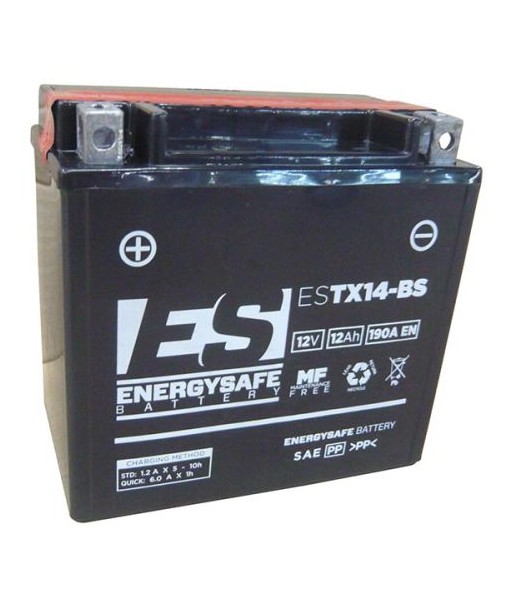 Batería Energysafe ESTX14-BS Sin Mantenimiento