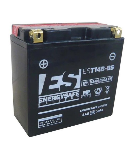 Batería Energysafe EST14B-BS Sin Mantenimiento