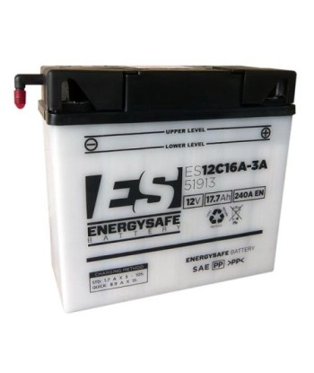 Batería Energysafe ES51913 Convencional