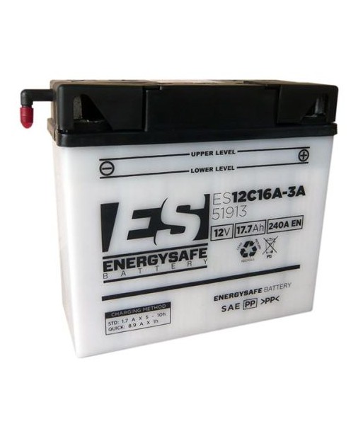 Batería Energysafe ES51913 Convencional