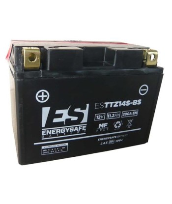 Batería Energysafe ESTTZ14S-BS Sin Mantenimiento