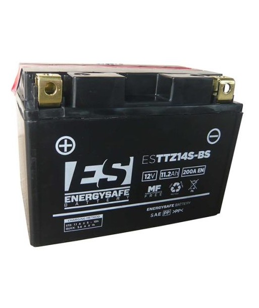 Batería Energysafe ESTTZ14S-BS Sin Mantenimiento